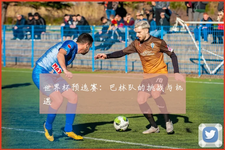 世界杯预选赛：巴林队的挑战与机遇